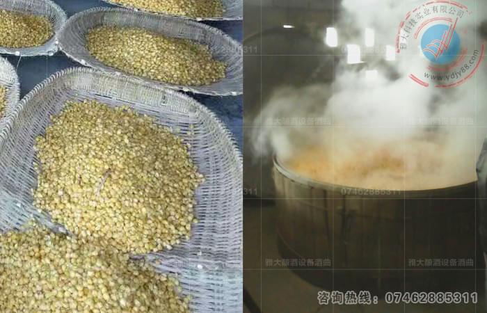 颗粒玉米酿造工艺流程图-家庭酿酒设备
