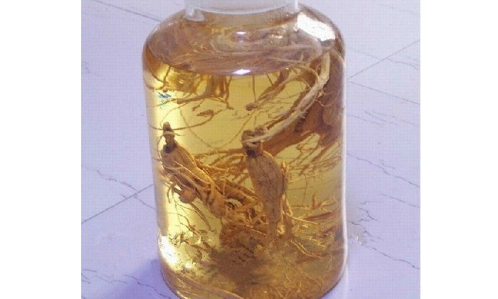 「酿酒设备」金银花能酿酒吗？