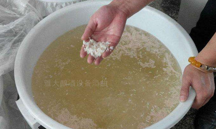 7.2-生料大米发酵